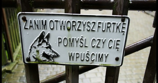 Rajd Wisły